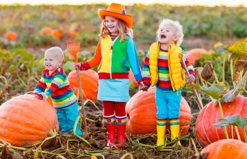 Pumpkin Patch Party