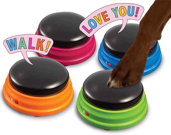 Talking Pet Kit