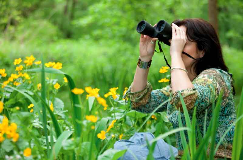 Woman watching birds in the forest