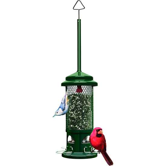 Hummingbird Feeder