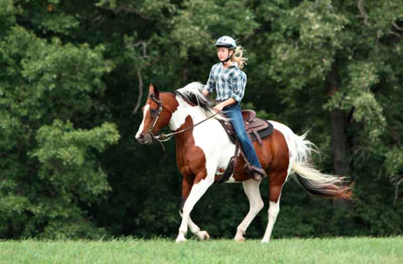 Teenage girl riding a horse