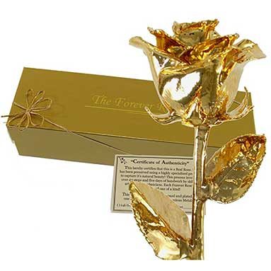 Real Rose Dipped in 24 Karat Gold